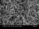 铜纳米线（水溶液） Copper Nanowire in Water