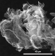 石墨烯纳米薄片（1~2nm） Graphene Nanoplatelets