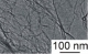 高比表面积氧化石墨烯 High Surface Area Graphene Oxide