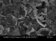 石墨烯纳米薄片（2~10nm） Graphene Nanoplatelets