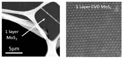 基于蓝宝石衬底的全区域覆盖的单层二硫化钼-Full Area Coverage Monolayer MoS2 on c-cut Sapphire