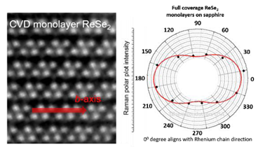 基于蓝宝石衬底的全区域覆盖的单层二硒化铼-Full Area Coverage Monolayer ReSe2 on c-cut Sapphire