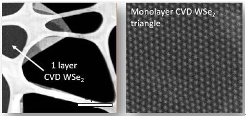 基于蓝宝石衬底的全区域覆盖的单层二硒化钨-Full Area Coverage Monolayer WSe2 on c-cut Sapphire