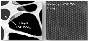 Monolayer WSe2 Triangles on c-cut Sapphire