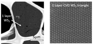 基于蓝宝石衬底的三角形单层二硫化钨-Monolayer WS2 Triangles on c-cut Sapphire