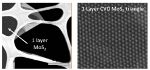 基于蓝宝石衬底的三角形单层二硫化钼-Monolayer MoS2 Triangles on c-cut Sapphire