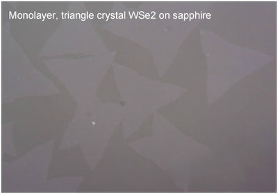【巨纳】三角形单层二硒化钨（10*10mm）-衬底可选
