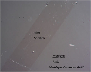 【巨纳】单层二硫化铼（10x10mm）连续薄膜-衬底可选