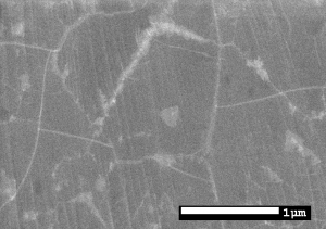 基于铜基的单层氮化硼薄膜（5*2.5cm）