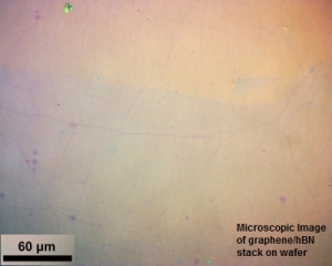 基于硅基的CVD石墨烯与CVD氮化硼异质结构（1*1cm，8片装）