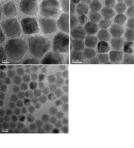 合金CdSe/ZnS量子点（CdSe/ZnS QDs）