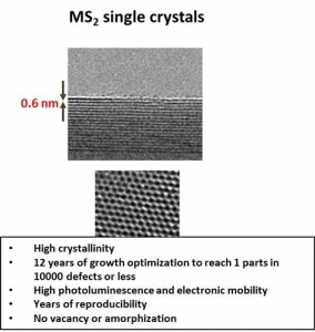 MoSe2 二硒化钼晶体 (Molybdenum Diselenide)