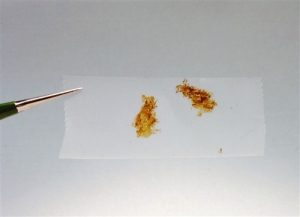 Nitrogen Doped Graphene 氮掺杂石墨烯